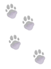 Foot_Step_Of_Cat