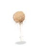 Sand_Lump