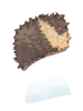 Black_Bear's_Skin