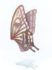 Great_Wing