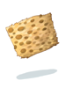 Leopard_Skin