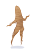 Browny_Root