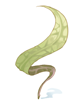 Soft_Leaf