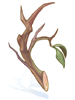 Solid_Twig