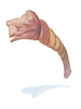 Rotten_Rope