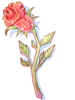 Witherless_Rose