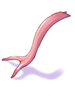 Reptile_Tongue