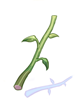 Stem