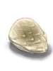 Scales_Shell