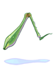 Grasshopper's_Leg