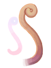 Yoyo_Tail