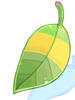 Raccoon_Leaf
