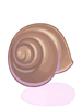 Snail's_Shell