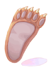 Bear's_Foot