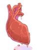 Heart_Of_Mermaid