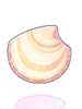 Clam_Shell