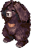 Sprite do NPC